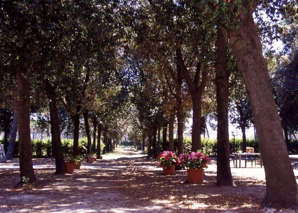 Maison d'hôtes Razza Del Casalone à Grosseto Extérieur photo